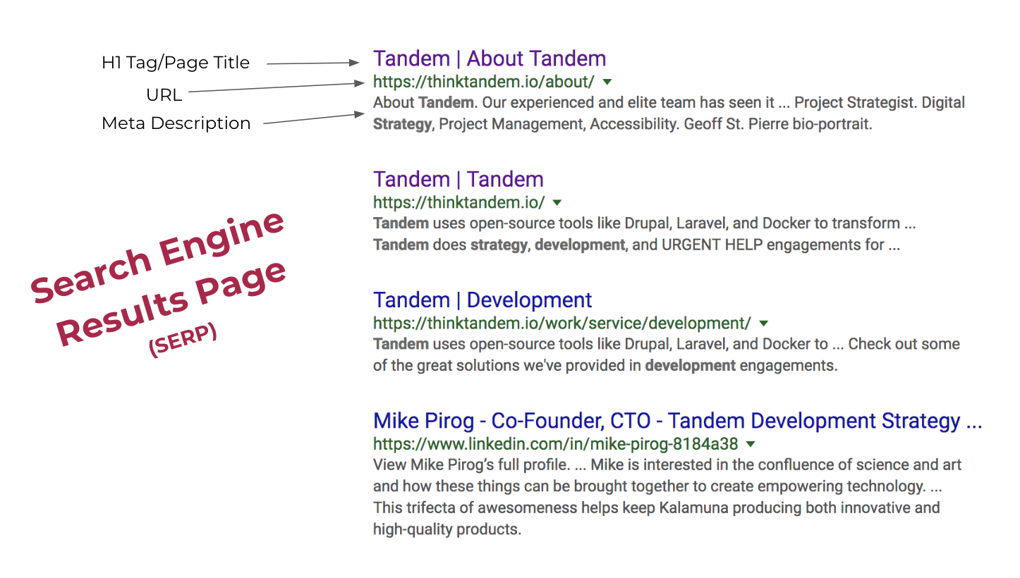 a search engine result page explained